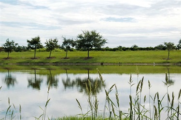 Donna Fiala Eagle Lakes Community Park