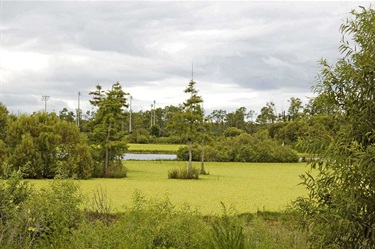Donna Fiala Eagle Lakes Community Park