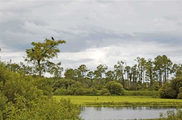 Donna Fiala Eagle Lakes Community Park