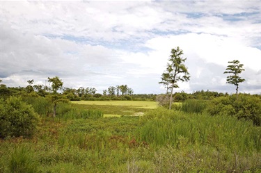 Donna Fiala Eagle Lakes Community Park