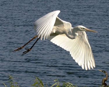Donna Fiala Eagle Lakes Community Park