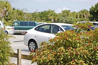 Barefoot Beach Preserve