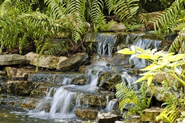Barefoot Beach Preserve