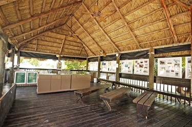 Barefoot Beach Preserve