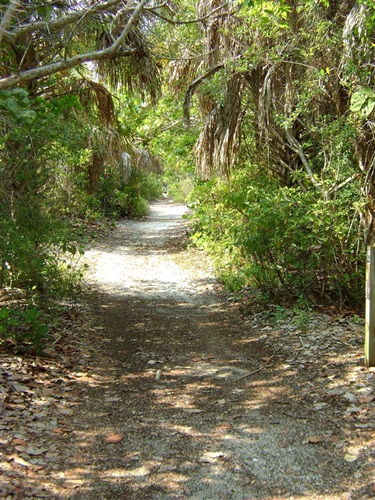 Barefoot Beach Preserve
