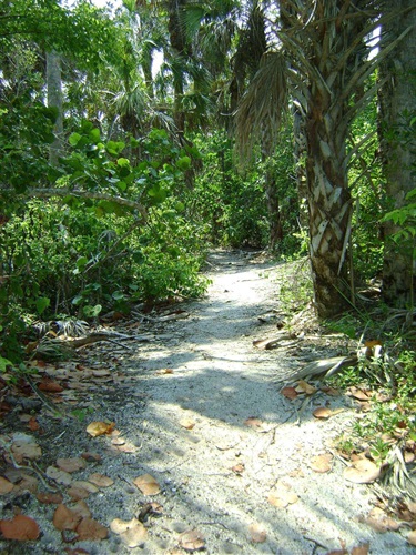 Barefoot Beach Preserve