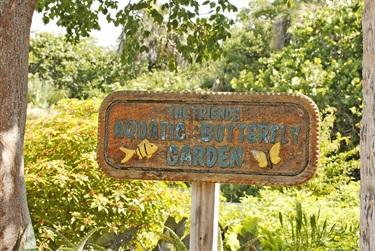 Barefoot Beach Preserve