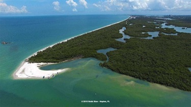 Barefoot Beach Preserve