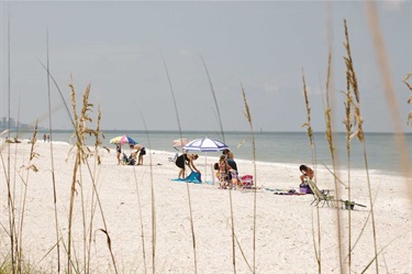 Barefoot Beach Preserve