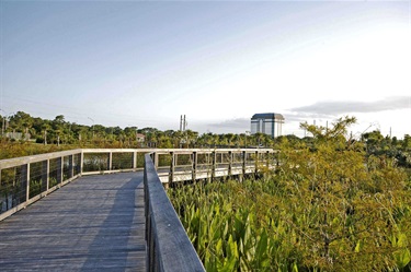 Fred W. Coyle Freedom Park
