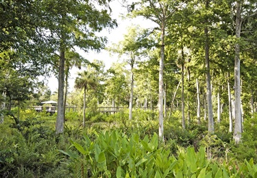 Fred W. Coyle Freedom Park