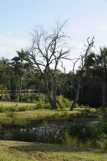 Gordon River Greenway