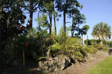 Gordon River Greenway
