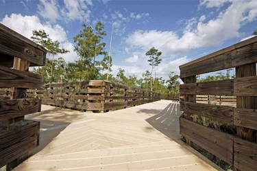 Walking Trail