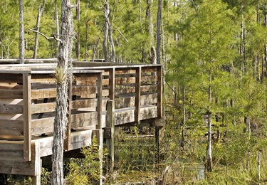 Walking Trail