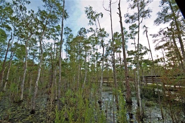 North Collier Regional Park