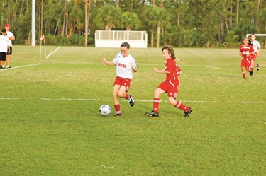 Soccer Field