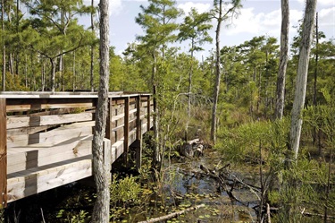 Walking Trail