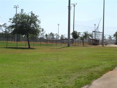 Baseball Field