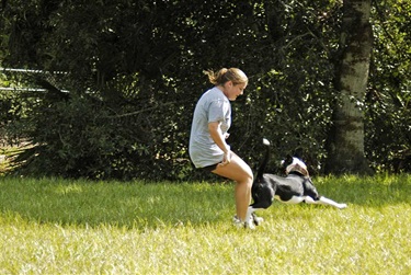Rover Run Dog Park