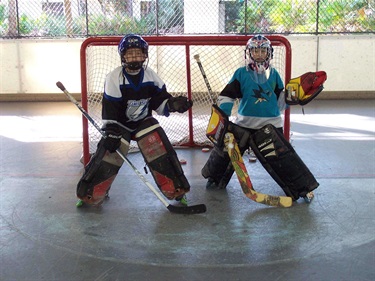Hockey Rink
