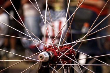 Wheels BMX And Skatepark