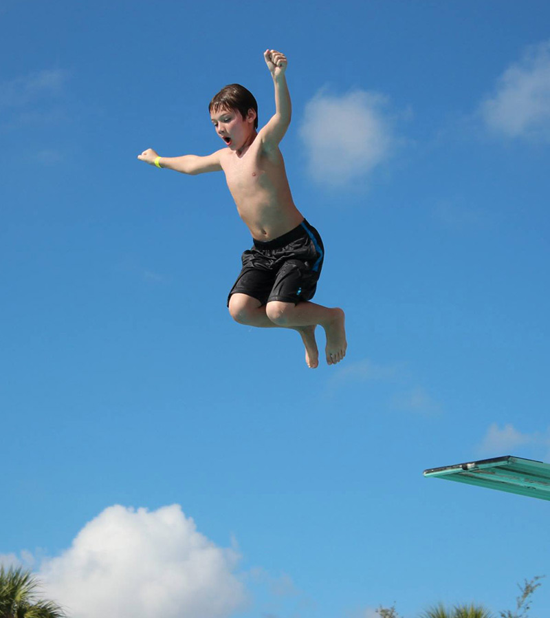Dolphin Dive & Lap Pool