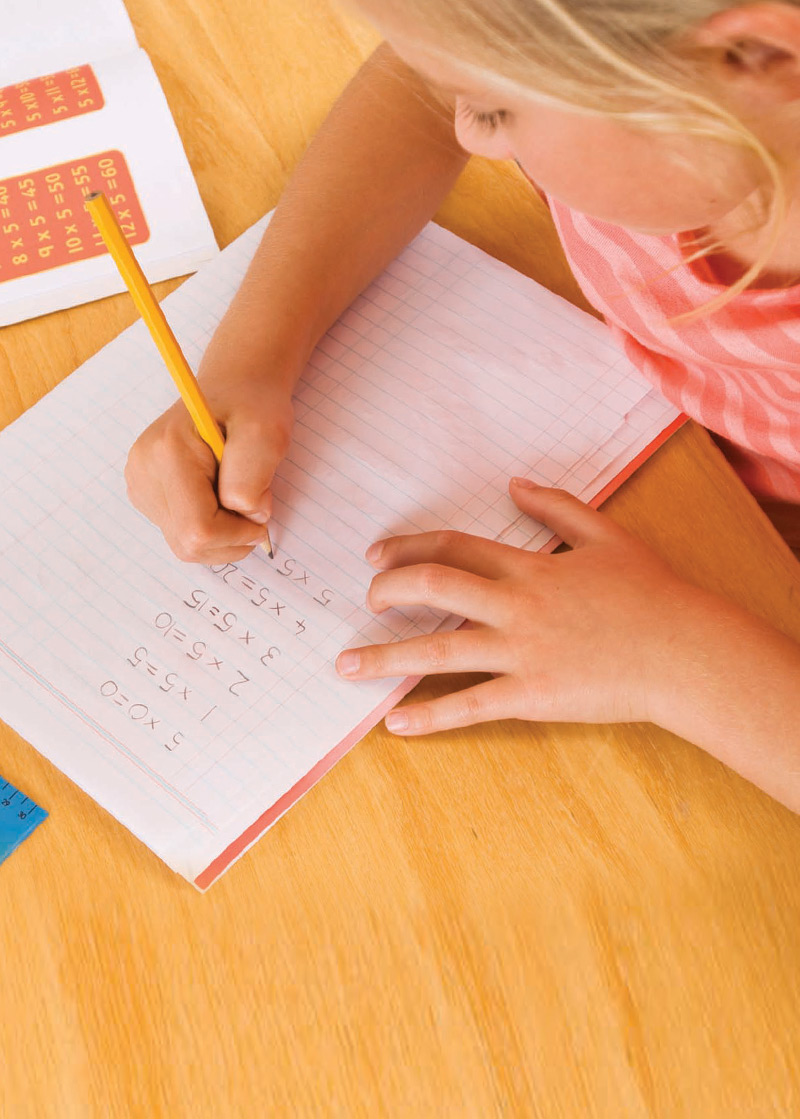 Best Naples and Collier County Summer Camps Search Summer Camps