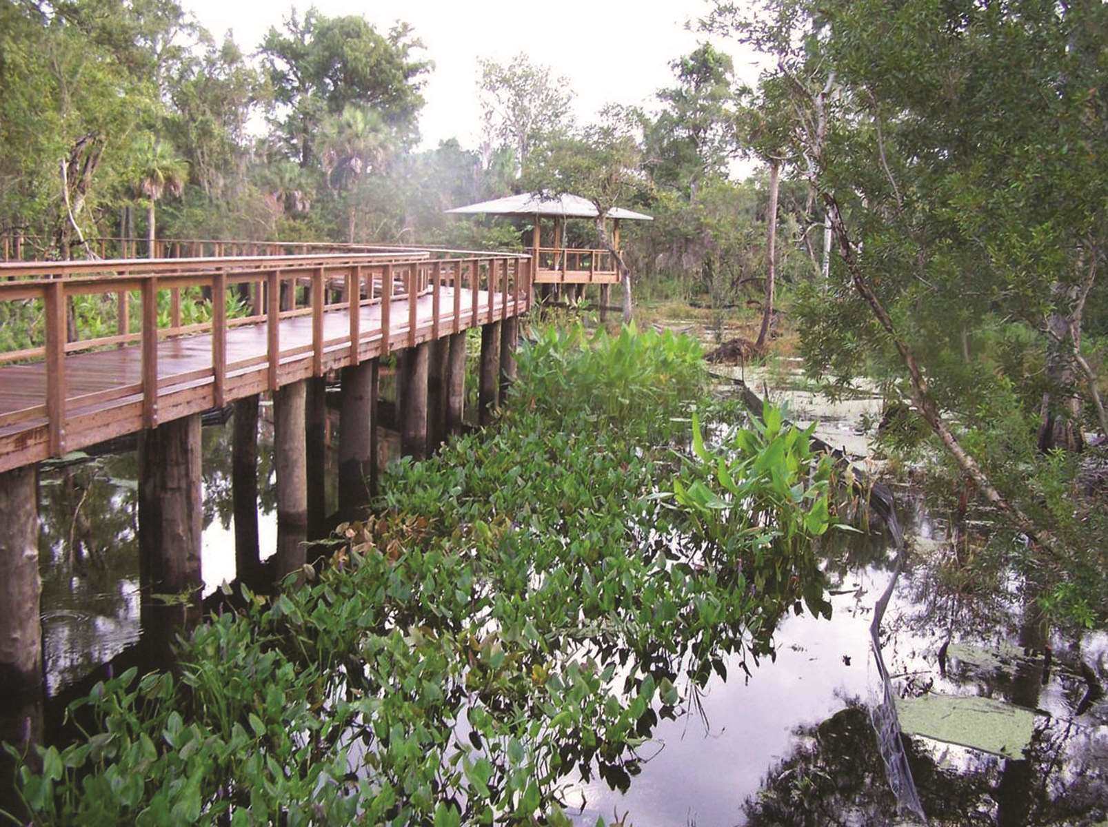 Freedom Park pavilion