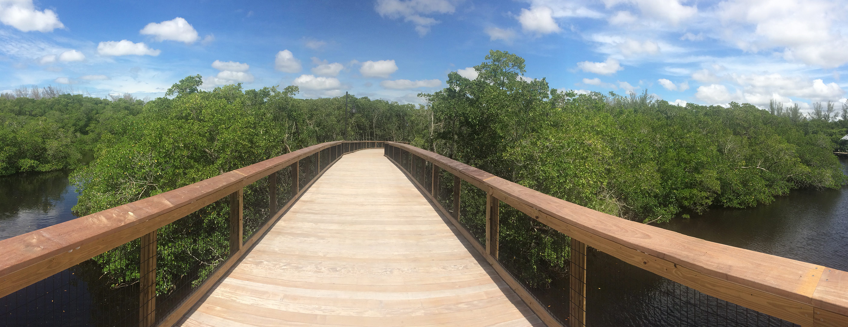 Board walk through preserve