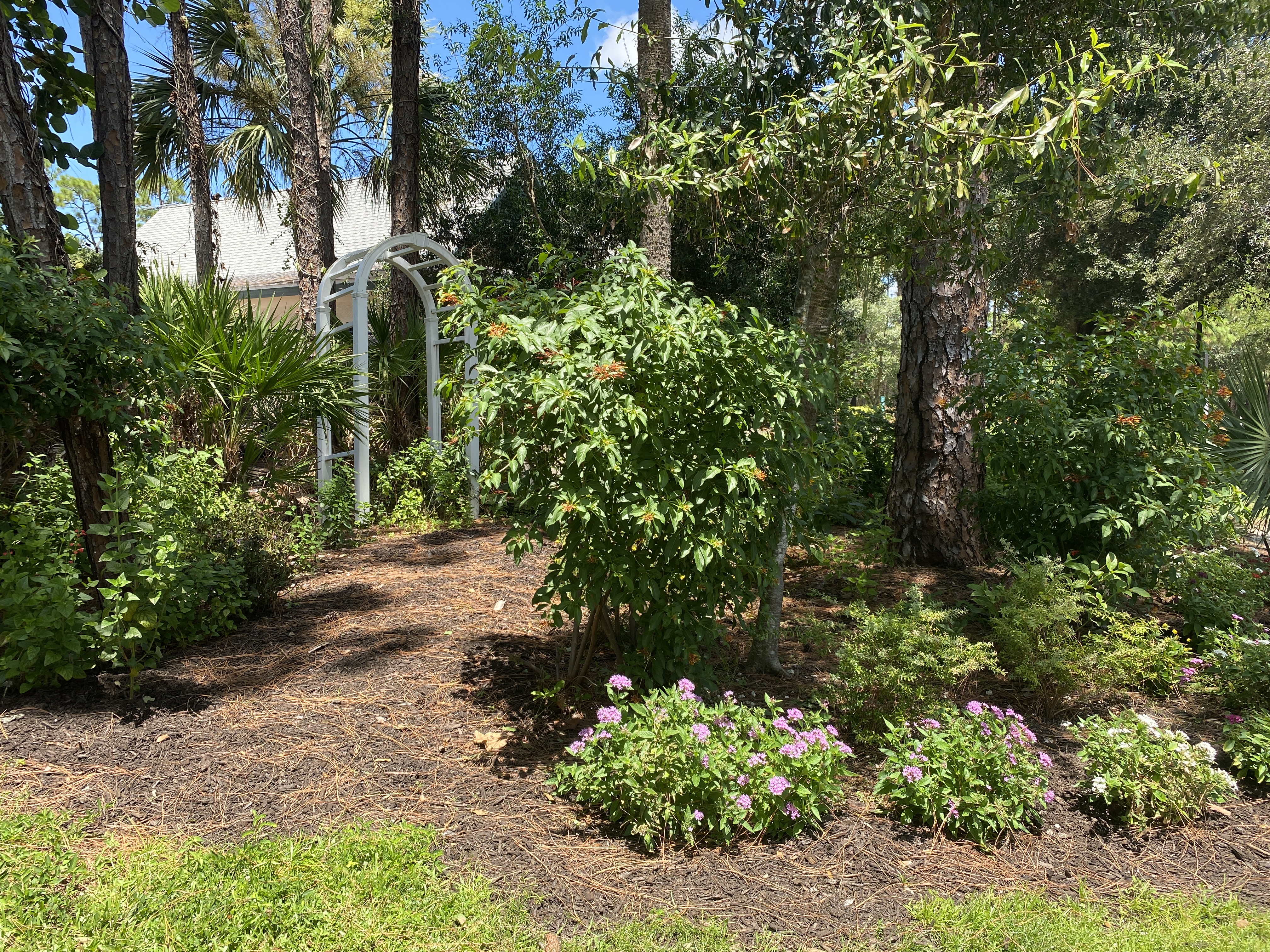 Veterans Community Park Garden