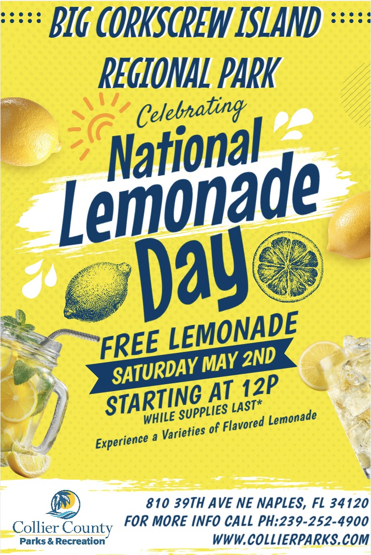 BCIRP National Lemonade Day BCIRP National Lemonade Day